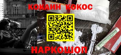 стаф Можга