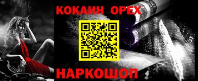 стаф Можга