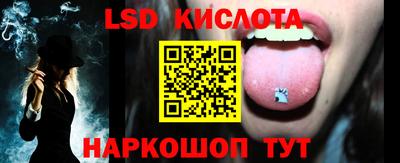 стаф Можга