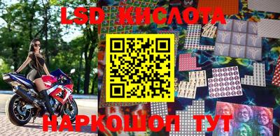 стаф Можга