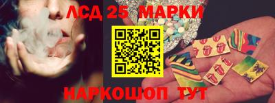 стаф Можга
