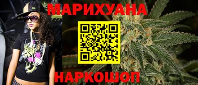 стаф Можга