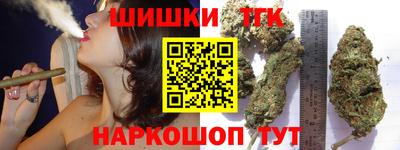 стаф Можга