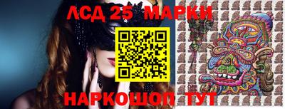 стаф Можга