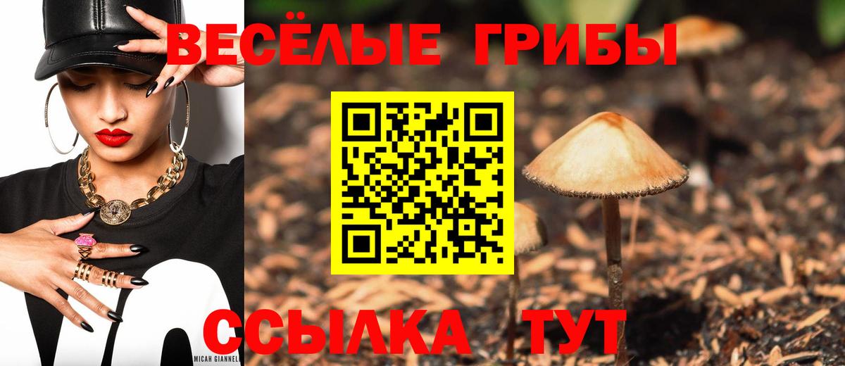 Галлюциногенные грибы мухоморы  Вход с VPN  Шахты  цена   Псилоцибиновые грибы Cubensis 